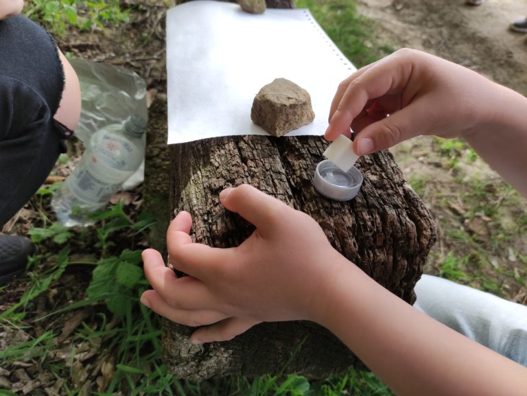 Ameisenprojekt – Kindergarten Brehme